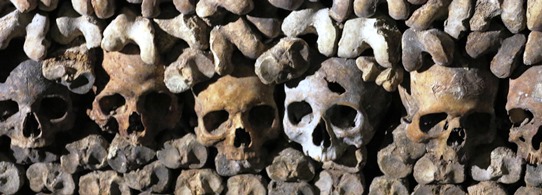 Catacombs bones 542