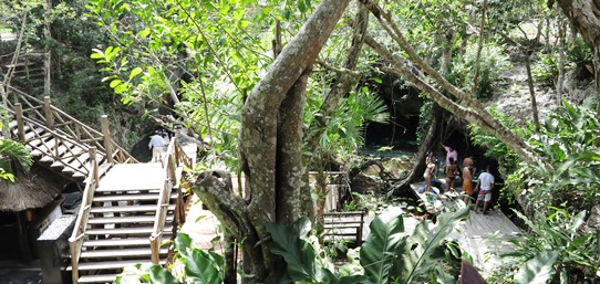 IMG_3508 - Gran Cenote, Tulum 542