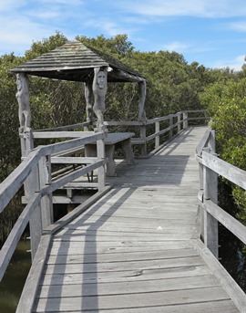 IMG_9040 - mangrove boardwalk, Bunbury - 270