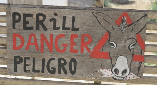 IMG_0347 - mule warning, refuge above Alaró Castle - 540