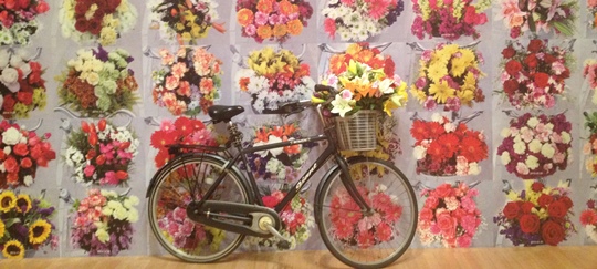 IMG_2746 - Ai Weiwei - flowers & bicycle - 540