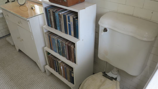 IMG_6050 - Hemingway toilet bookshelf - 540