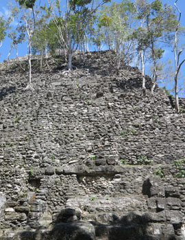 IMG_5746 - La Danta pyramid, El Mirador - 270
