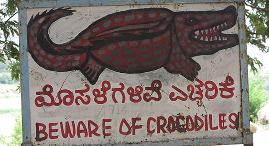 IMG_0150 - crocodile warning by river 540