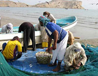 Fishermen on the beach at Al Sawadi