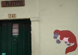 Platypus Hostel