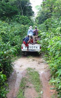 driving out to pygmy hunting site