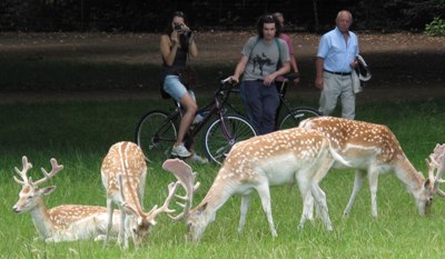 Richmond Park