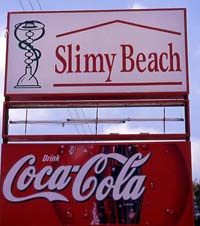 Slimy Beach - Beirut, Lebanon